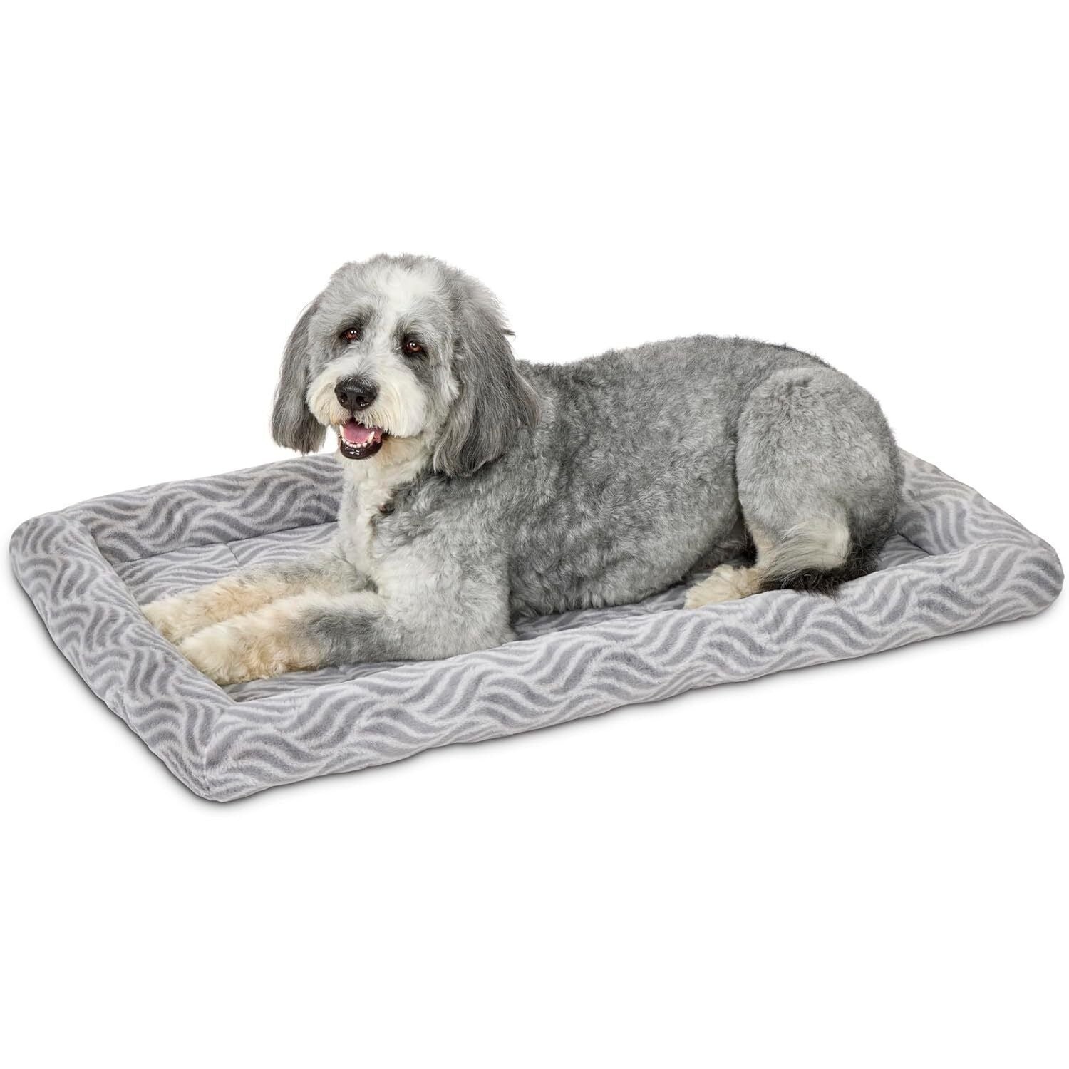 Soft Foam Base Dog Bed
